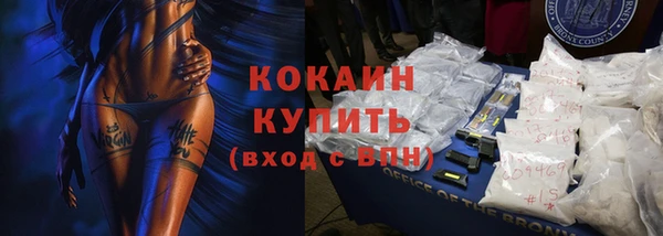 гидра Кинешма