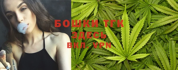 гидра Кинешма