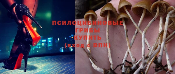 гидра Кинешма