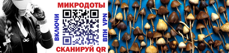 Псилоцибиновые грибы MAGIC MUSHROOMS Северобайкальск