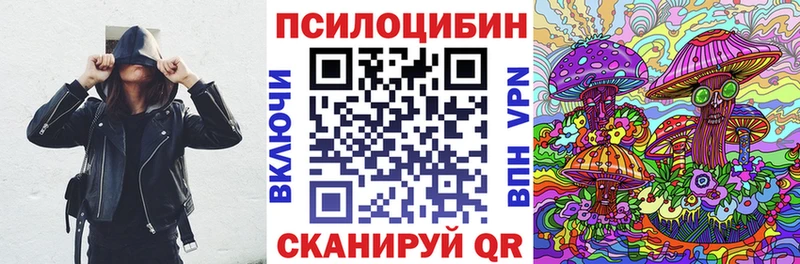 Купить где  Северобайкальск  Псилоцибиновые грибы Cubensis 